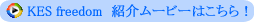 KES freedom�Љ�[�r�[�͂�����I